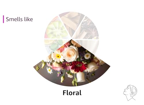 eos Shea Better Body Lotion Vanilla Cashmere, 24-Hour Moisture Skin Care, Lightweight & Non-Greasy, Natural Shea, Vegan, Vanilla Body Lotion, 16 fl oz