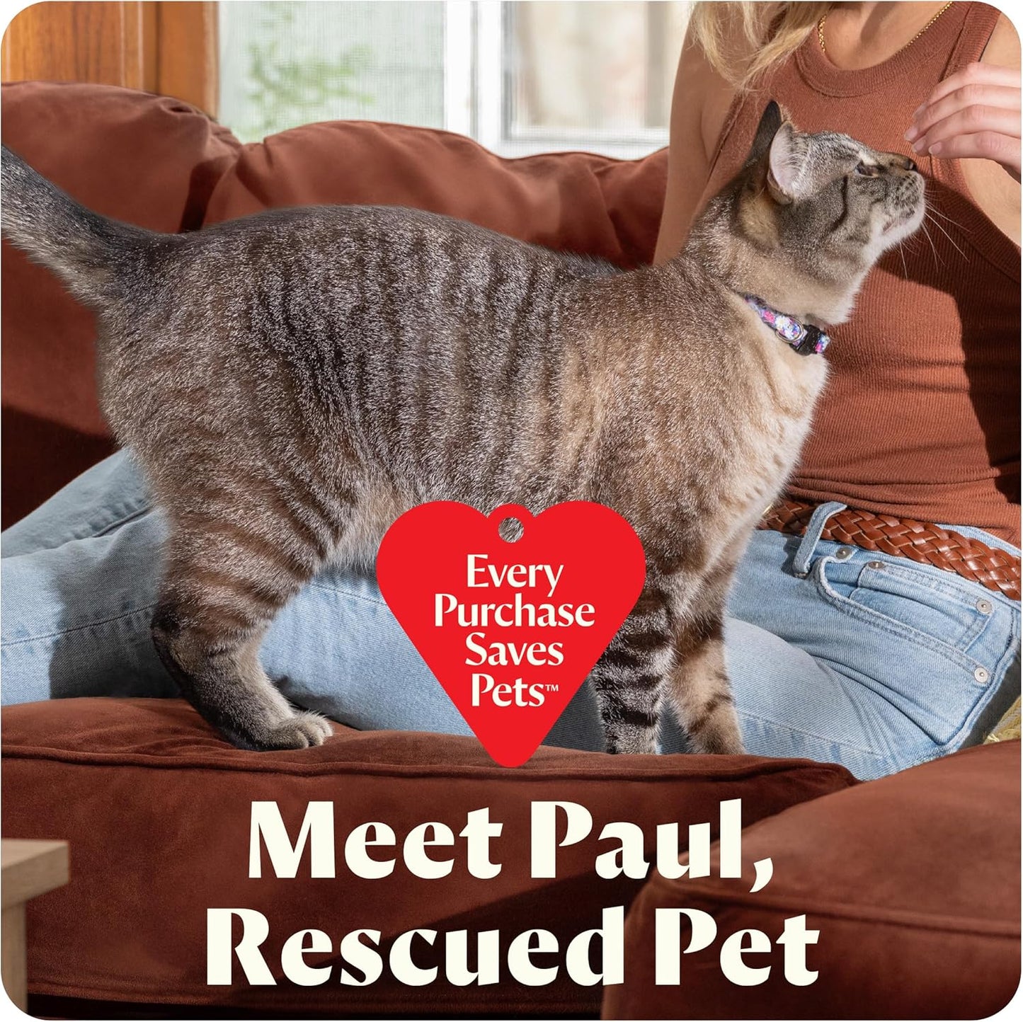 Little Green Mini Portable Carpet and Upholstery Deep Cleaner, Car/Auto Detailer, with Hydrorinse Self-Cleaning Tool and 4" Tough Stain Tool, Tea Green, 4075